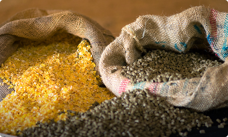 Feed Ingredients